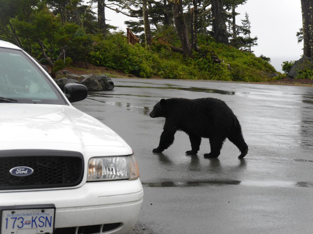 Cygnet Cove Suites Ucluelet Kamer foto