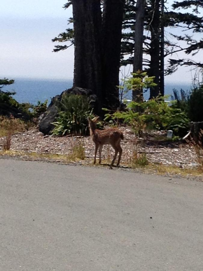 Cygnet Cove Suites Ucluelet Kamer foto