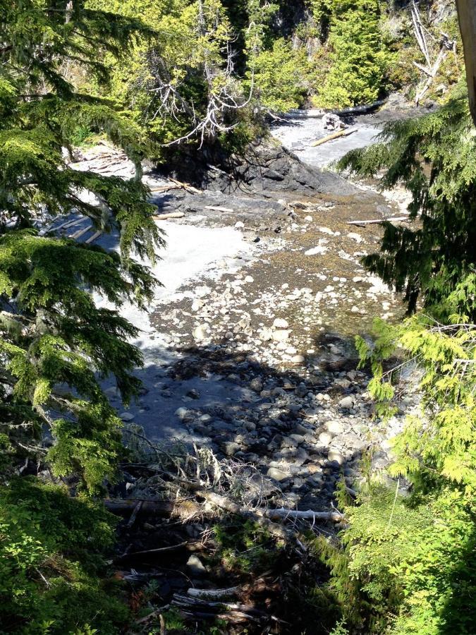 Cygnet Cove Suites Ucluelet Kamer foto